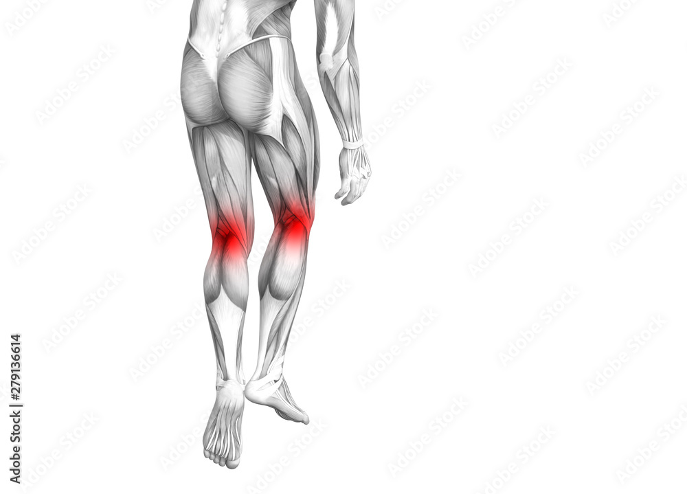 Conceptual knee human anatomy with red hot spot inflammation or articular joint pain for leg health care therapy or sport muscle concepts. 3D illustration man arthritis or bone osteoporosis disease Conceptual knee human anatomy with red hot spot inflammation or articular joint pain for leg health care therapy or sport muscle concepts. 3D illustration man arthritis or bone osteoporosis disease