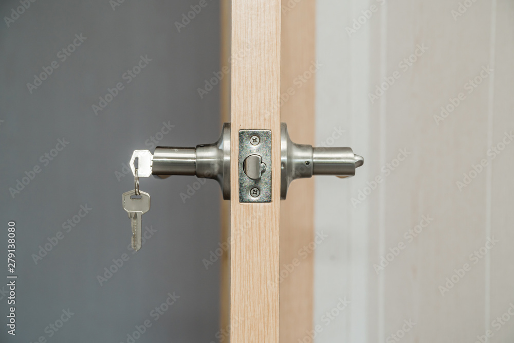 Light entrance door with the handle Light entrance door with the handle
