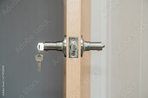 Light entrance door with the handle