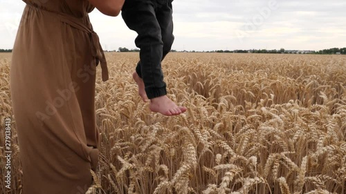 Young mother holds little boy son as child slightly touching wheat ears with barefoot legs feet toes on countryside nature field photo