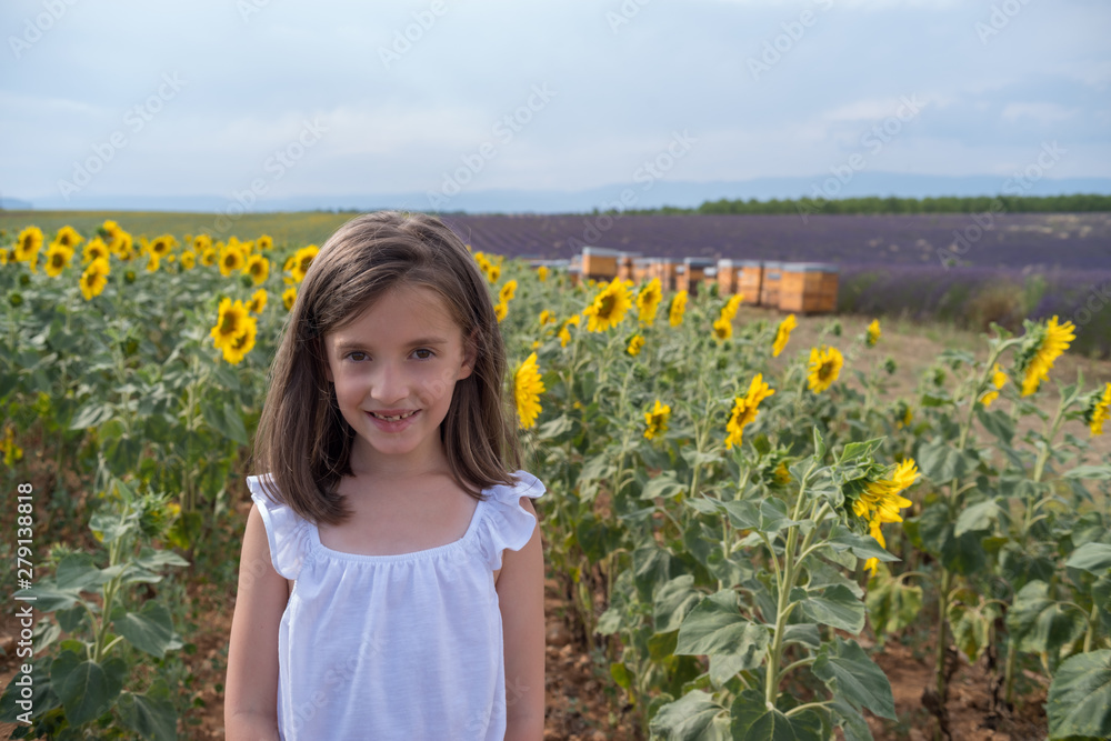 Girl in field sunflowers, Provence, south France Girl in field sunflowers, Provence, south France