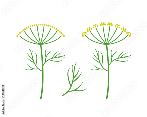 Dill logo. Isolated dill on white background