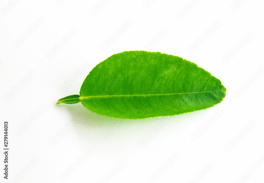 Obraz premium orange leaf