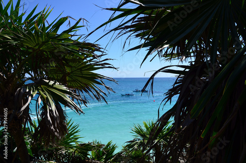 Palm trees on the beach