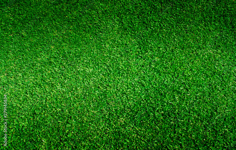 Fototapeta premium Green grass soccer field background