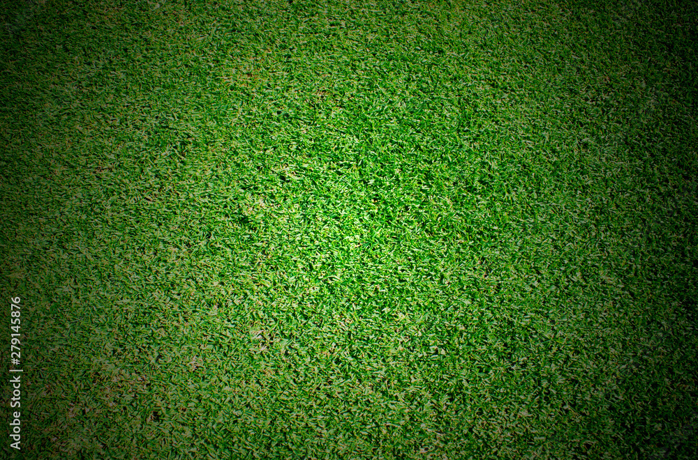 Obraz premium Green grass soccer field background