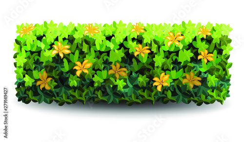 Garden bush. Green garden vegetation bushes icon. Ornamental plant shrub for decorate landscape park, a garden or a green fence. Thick thickets of shrubs. Foliage for spring and summer card design.