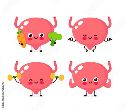 Cute healthy happy Bladder organ 