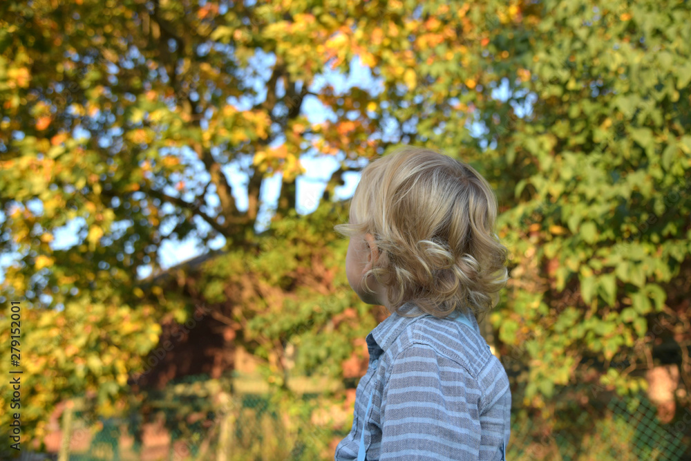 Happy blond boy in autumn park. little child playing in park. boy is in autumn city park. Bright yellow trees. outdoor. nature. Happy blond boy in autumn park. little child playing in park. boy is in autumn city park. Bright yellow trees. outdoor. nature.