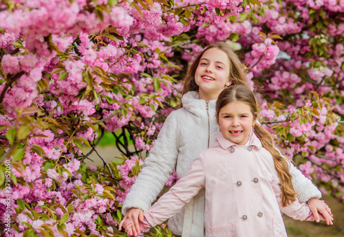 Kids on pink flowers of sakura tree background. Botany concept. Kids enjoying cherry blossom sakura. Flowers soft pink clouds. Children enjoy warm spring. Girls posing near sakura. Lost in blossom