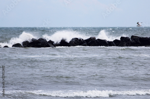 winter sea landscape