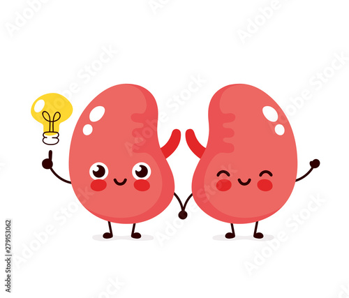 Happy cute kidneys with lightbulb character
