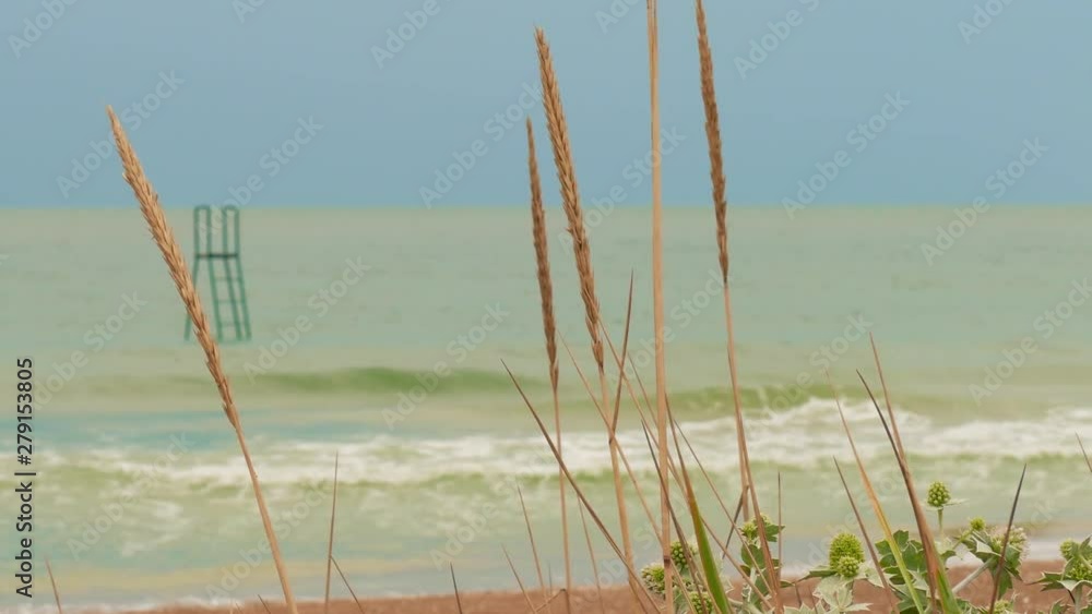 Deserted beach with reeds. Metal structure for diving offshore Deserted beach with reeds. Metal structure for diving offshore