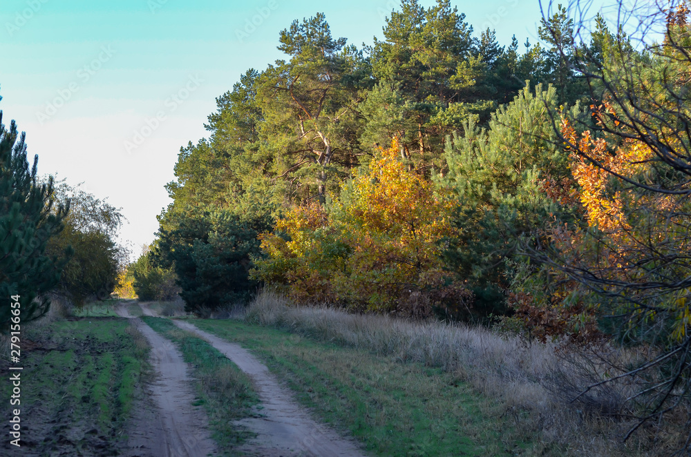 The road to the forest lake. Mushroom picking and autumn fishing. Excellent weekend with family. Without people. The road to the forest lake. Mushroom picking and autumn fishing. Excellent weekend with family. Without people.