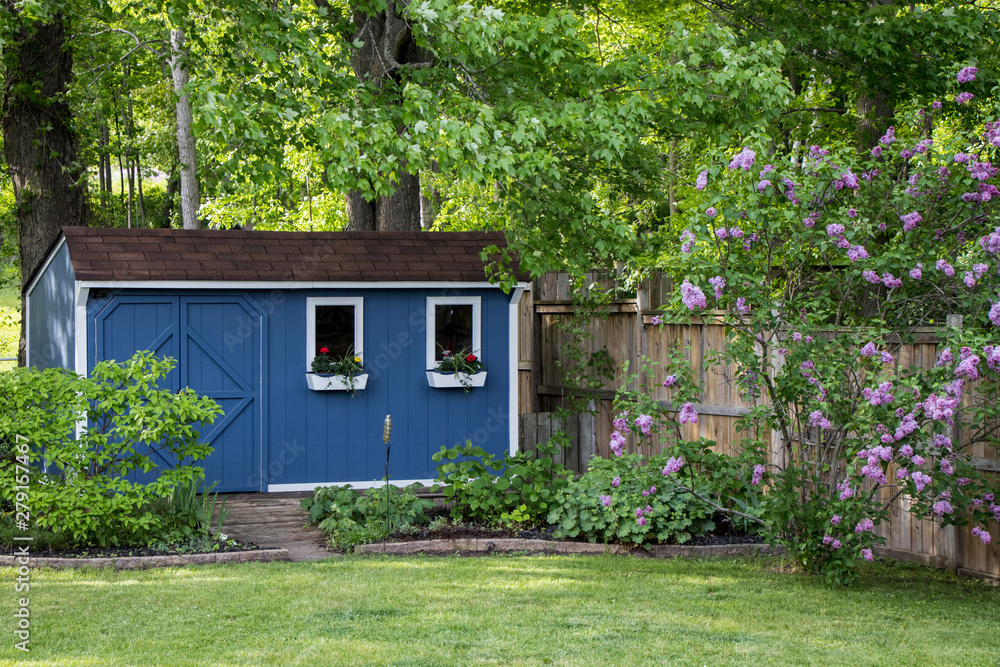 Garden shed in backyard  - obrazy, fototapety, plakaty 