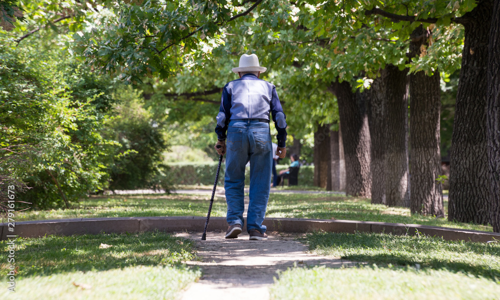 old man walking with a stick in the park on a sunny summer day