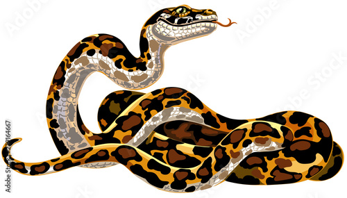 Cartoon python big snake. Boa constrictor isolated on white. Vector illustration
