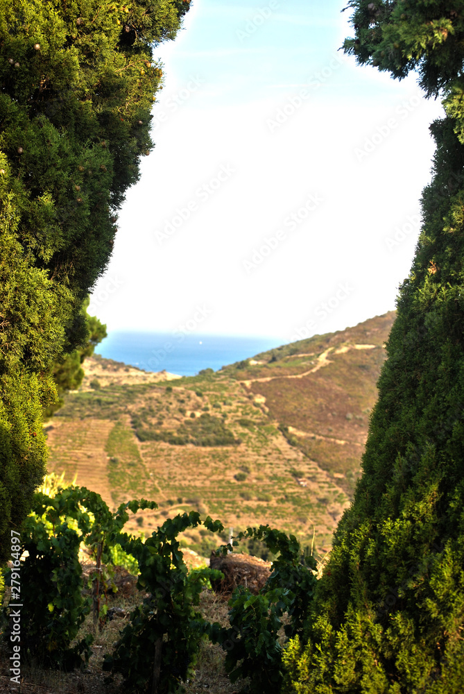 Fototapeta premium Cadre de verdure