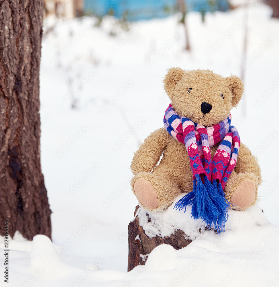 Brown children`s soft toy bear in a bright knitted scarf Brown children`s soft toy bear in a bright knitted scarf