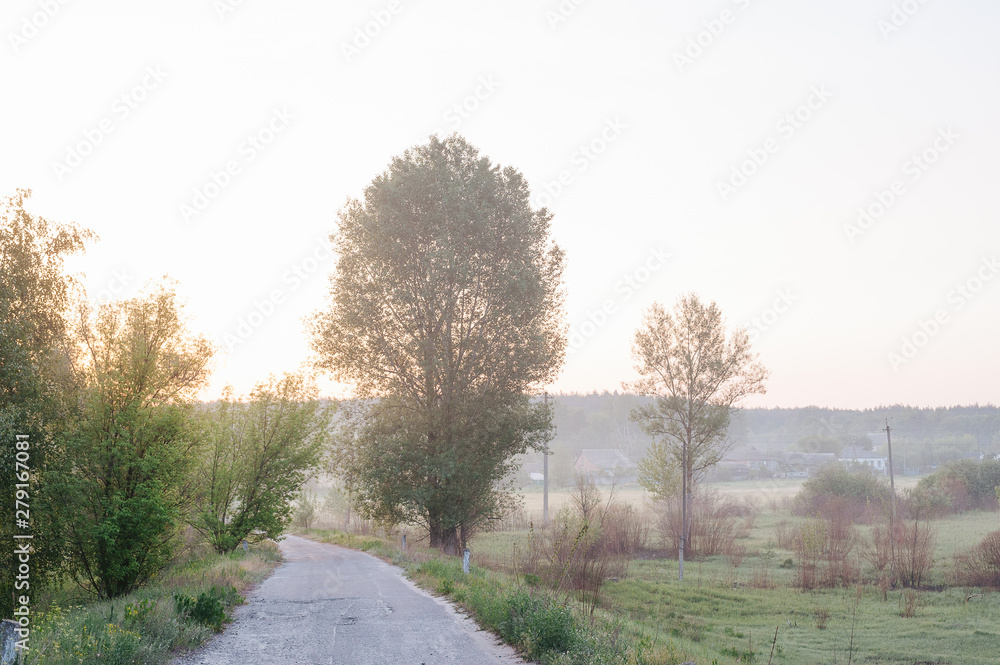 A summer landscape foggy morning A summer landscape foggy morning