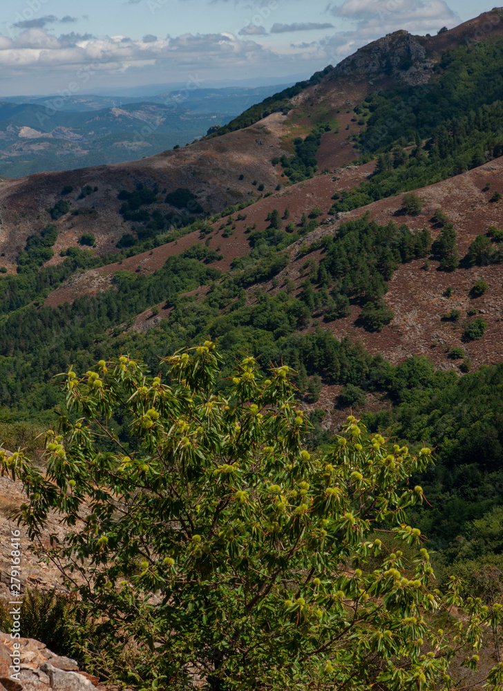 Col de espinouse Languedoc France Col de espinouse Languedoc France