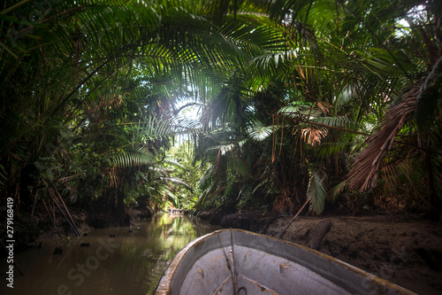 The motor boat in jungles of Papua New Guinea