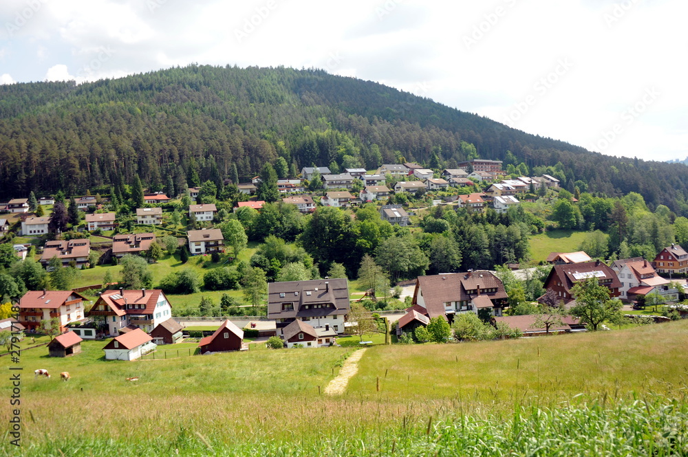 Naklejka premium Tonbach im Schwarzwald