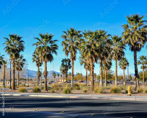 Red Ridge Park, Las Vegas, NV. © Keith Birmingham