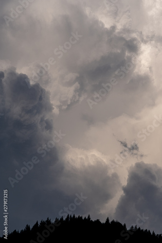 huge storm clouds overlook the trees