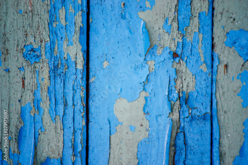 wooden vertical boards with cracked old blue paint for background