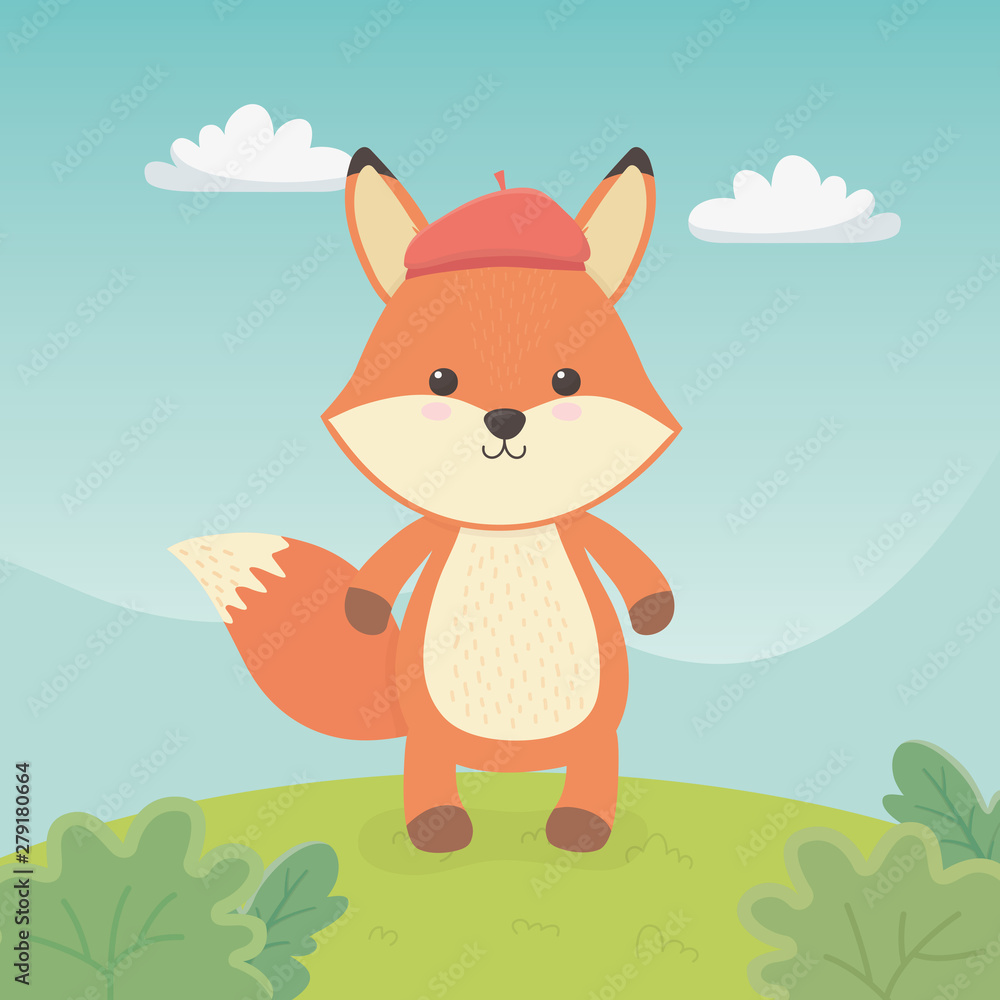 cute and little fox in the field cute and little fox in the field