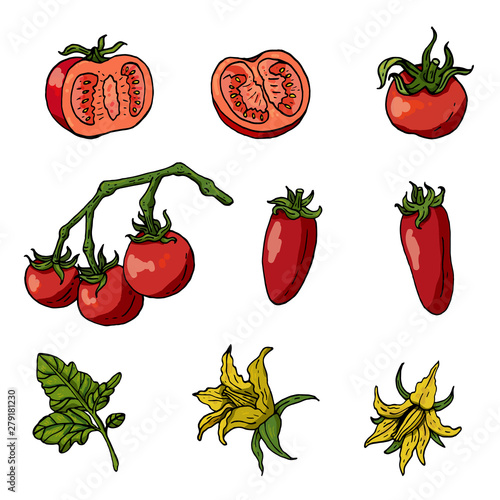 Set with tomatoes on white background. Tomatoes, tomato leaves and flowers isolated on white. Different sorts of tomatoes