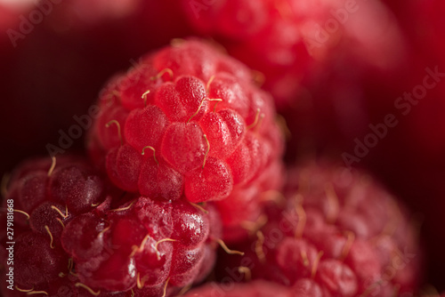 close of fresh organic summer ripe raspberries fileld frame  photo