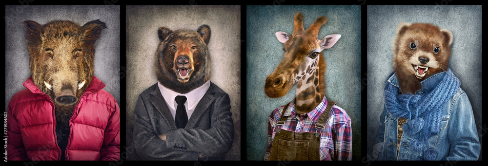 Fototapeta Zwierzęta w ubraniach. Ludzie z głowami zwierząt. Grafika koncepcyjna, manipulacja zdjęciami na okładkę, reklama, nadruki na odzieży i inne. Dzik, niedźwiedź, żyrafa, łasica.