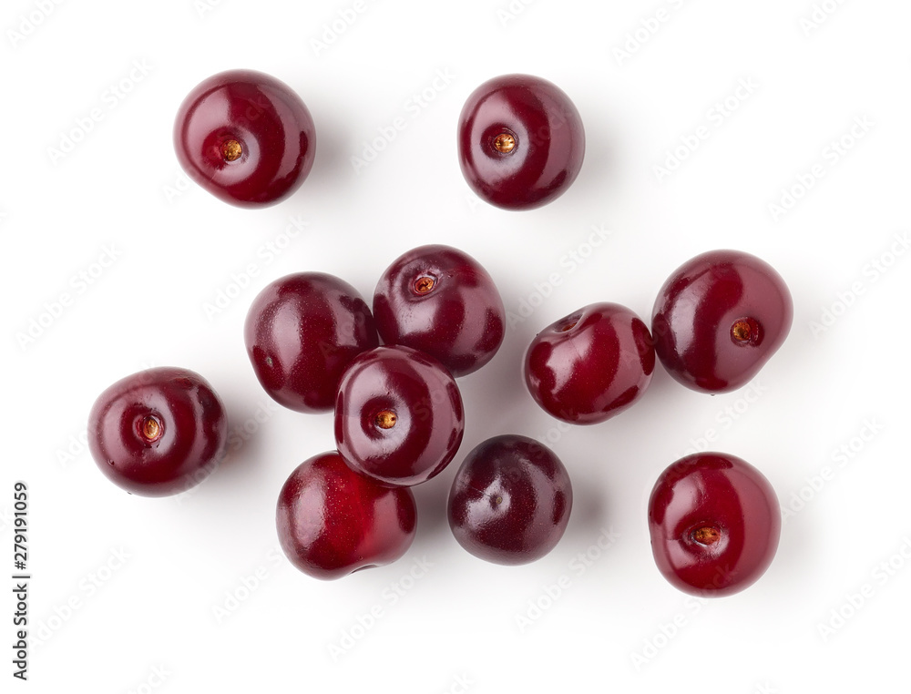 fresh red sour cherries fresh red sour cherries