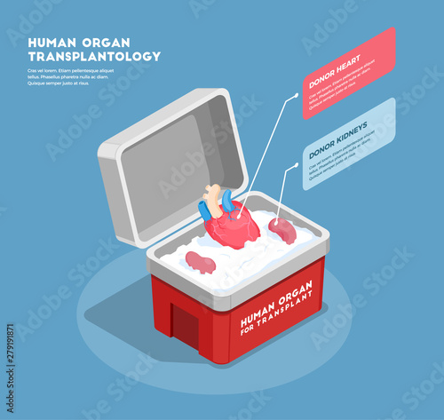 Human Organs Isometric Composition