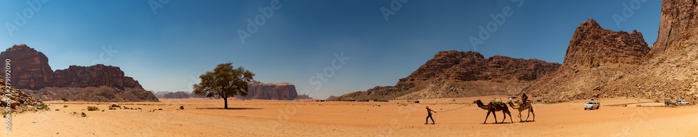 Wadi Rum V