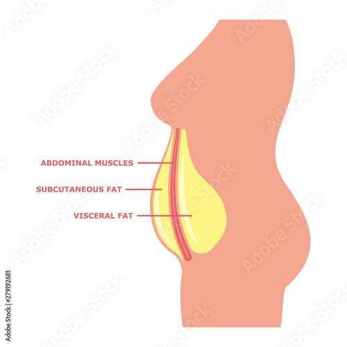Visceral fat on the female body with inscriptions