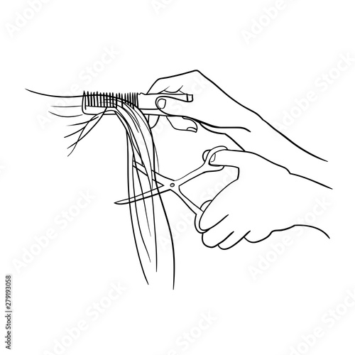 Hands cutting hair, hands of a hairdresser, hands and scissors, linear drawing in vector