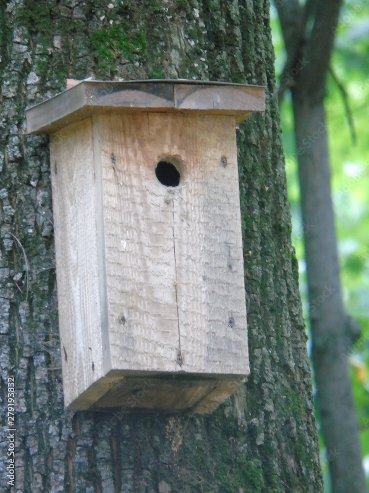 wooden birdhouse on a tree
