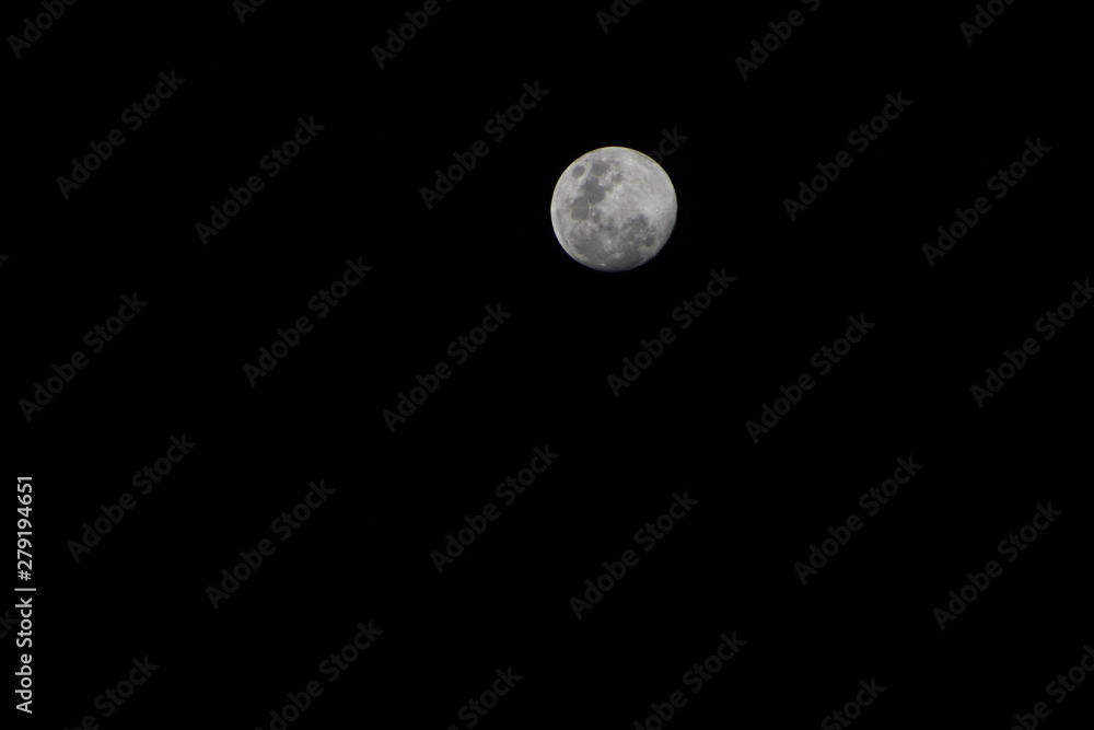 moon dream moon dream