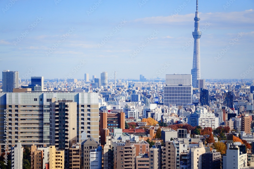 Obraz premium Tokyo city