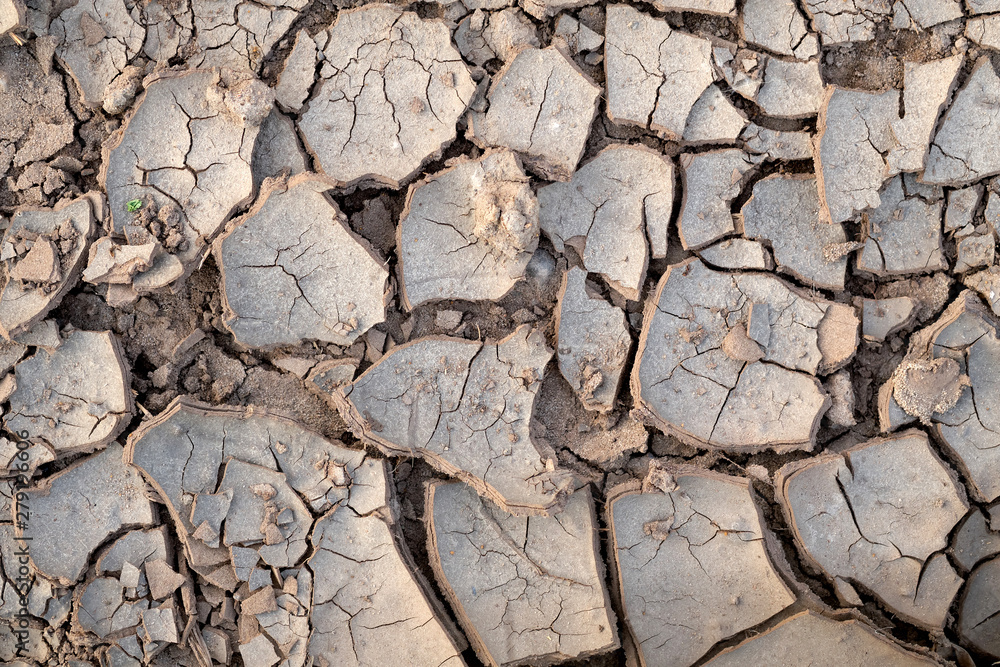 Cracked soil during a drought. Deep cracks in the land. Global warming is an ecological catastrophe