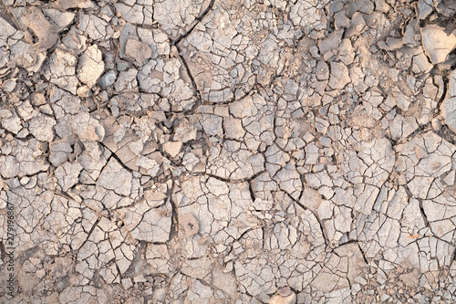 The texture of the earth during drought. View from the top.