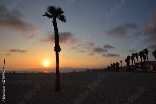 Palmen am Venice Beach in Los Angeles bei Sonnenuntergang