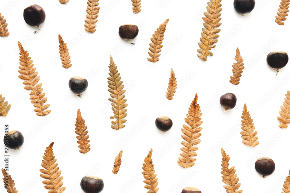 Autumn Pattern Made Of Chestnuts And Dry Fern Autumn Pattern Made Of Chestnuts And Dry Fern
