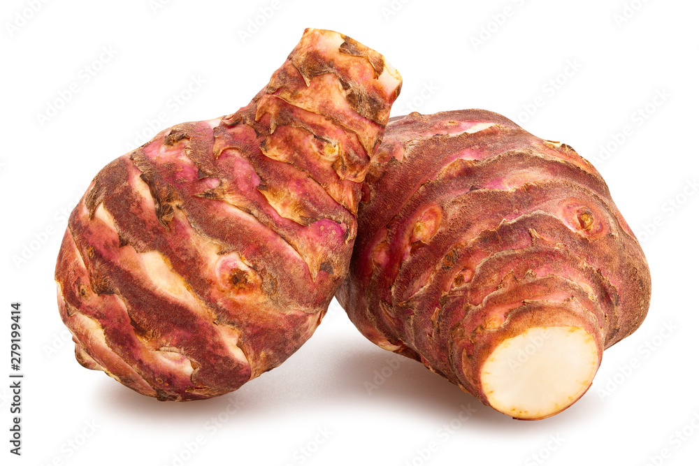 Fototapeta premium słonecznik bulwiasty