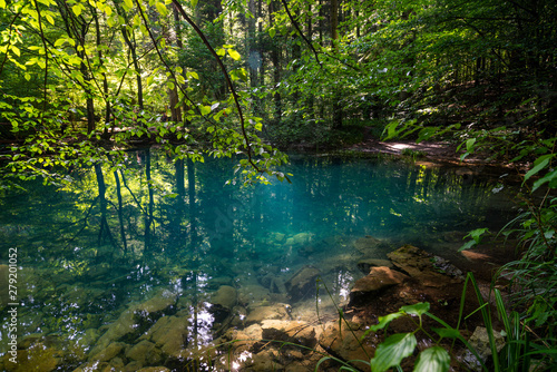 Fototapeta Naklejka Na Ścianę i Meble -  Ochiul Beiului,emerald lake on the Cheile Nerei-Beusnita National Park,Caras-Severin,Romania
