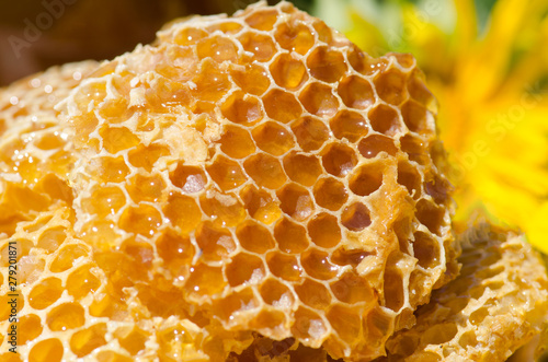 Obraz na płótnie Sweet honeycomb bee products