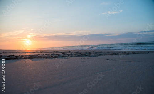 Loggerhead Sea Turtle Tracks at Dawn